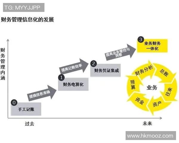 会计信息化转型对企业财务管理模式创新的影响与挑战分析 会计信息化转型对企业财务管理模式创新的影响与挑战分析