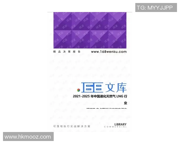 深入分析LNG行业运营策略与市场动态的全景解读